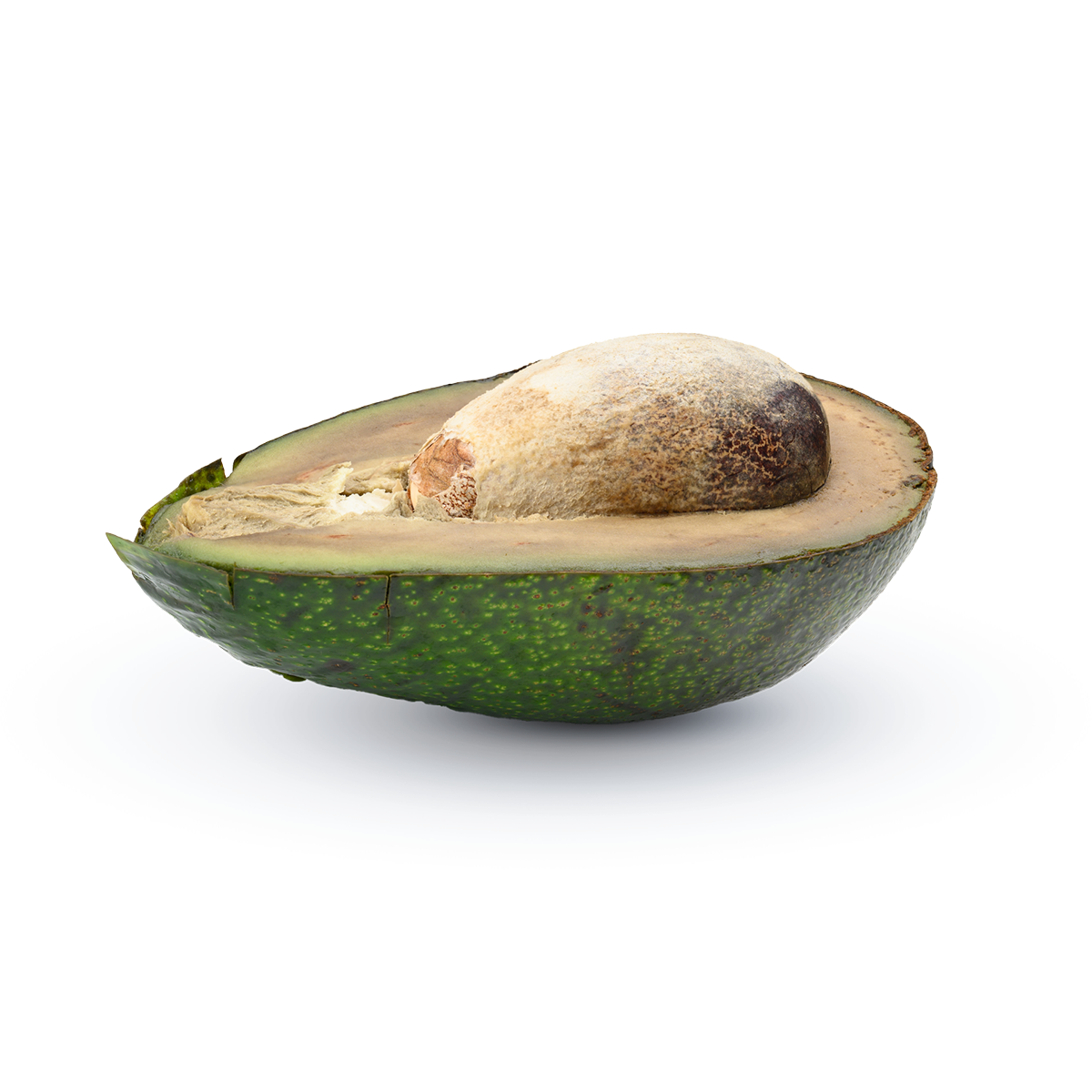 Avocado_W_Square