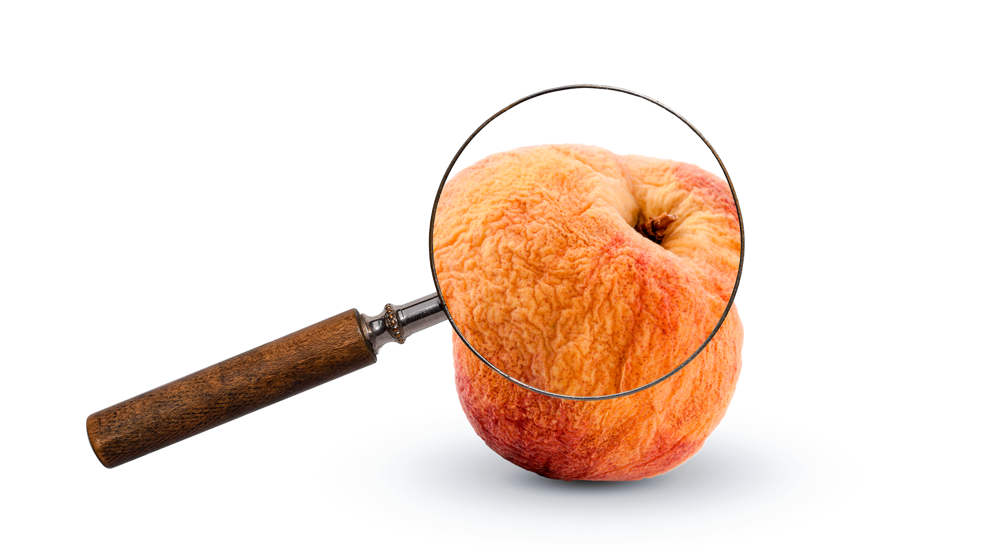 Magnifying glass_Peach_W
