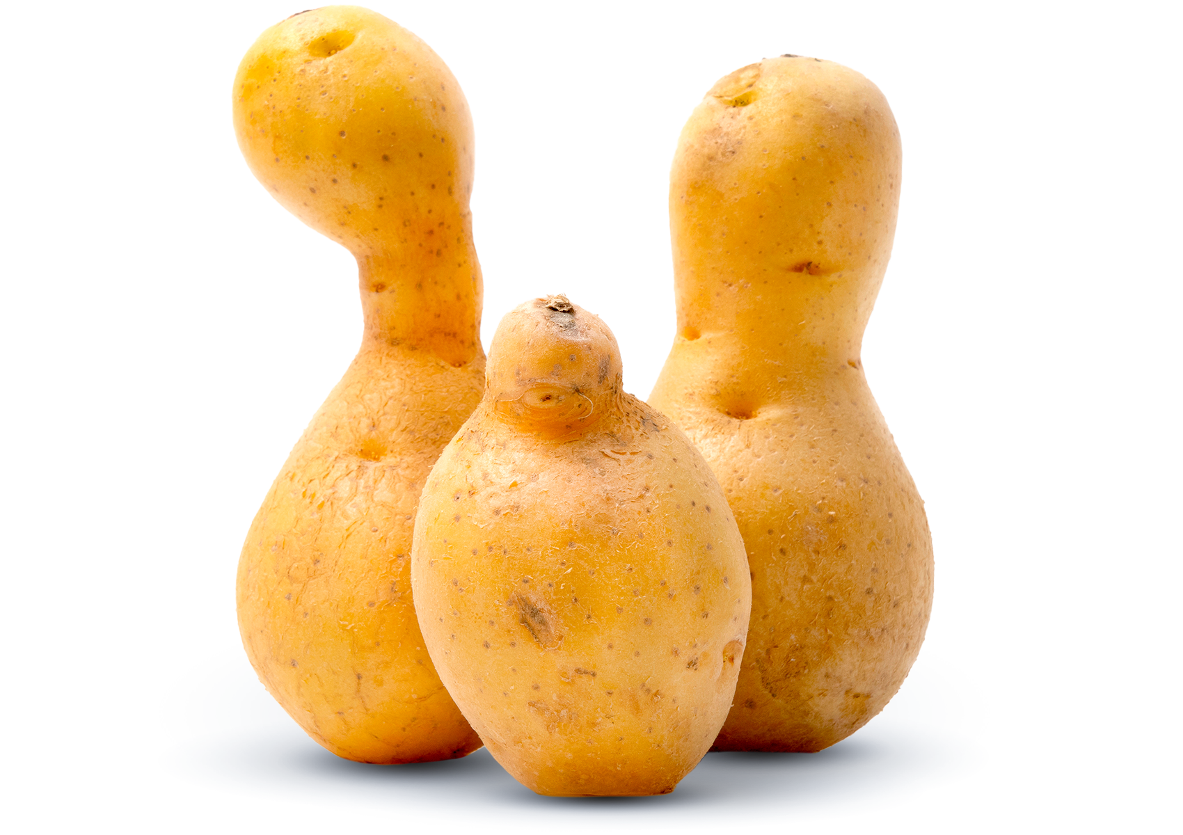 Potato_W-2