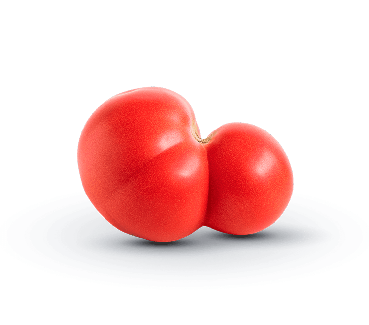 Tomato-Header-745x655